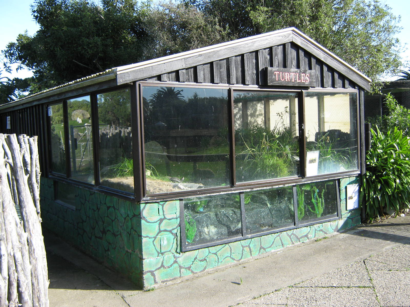 turtle enclosure
