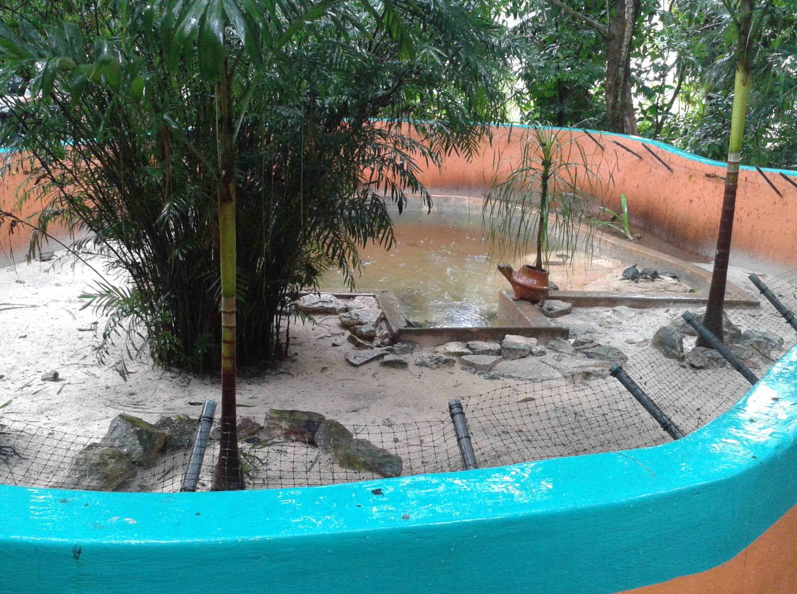 Turtle enclosure