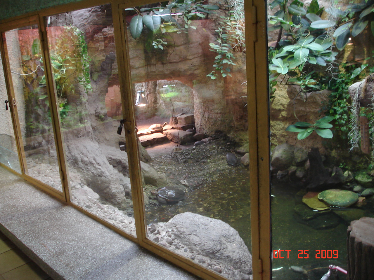 Turtle enclosure
