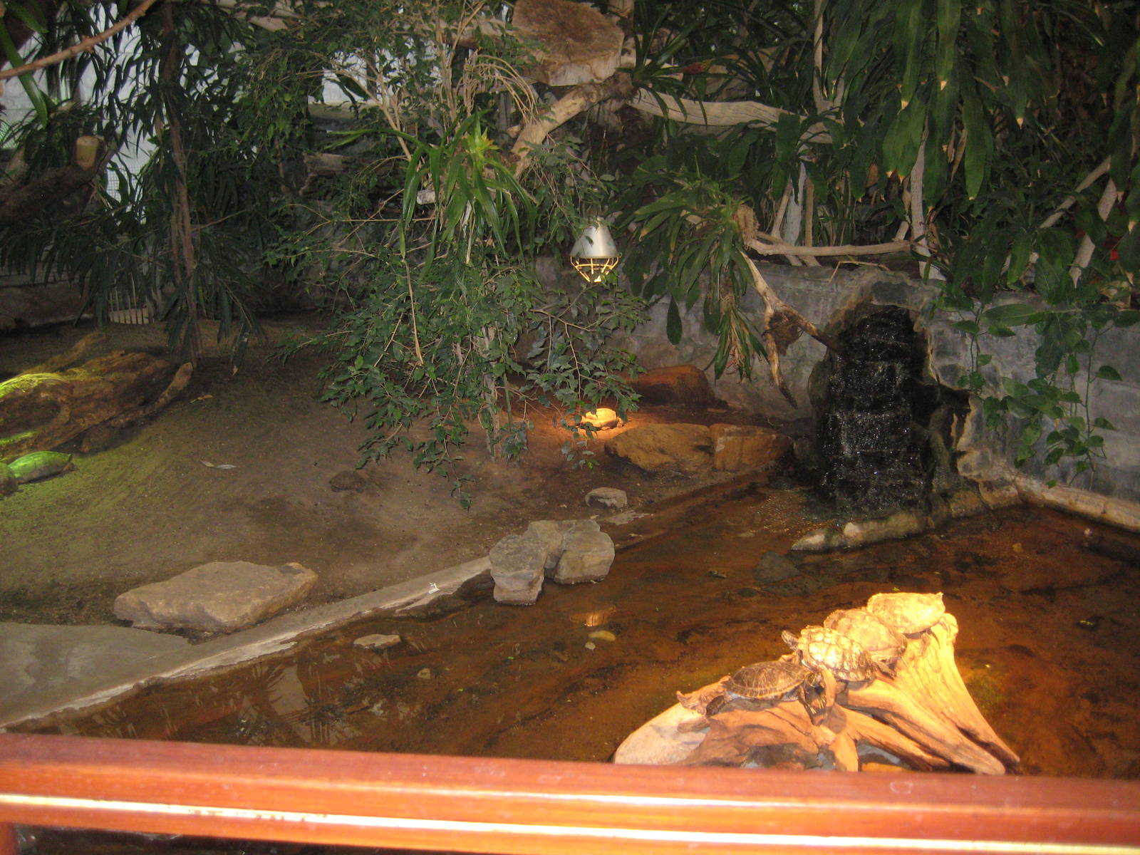 Turtle enclosure