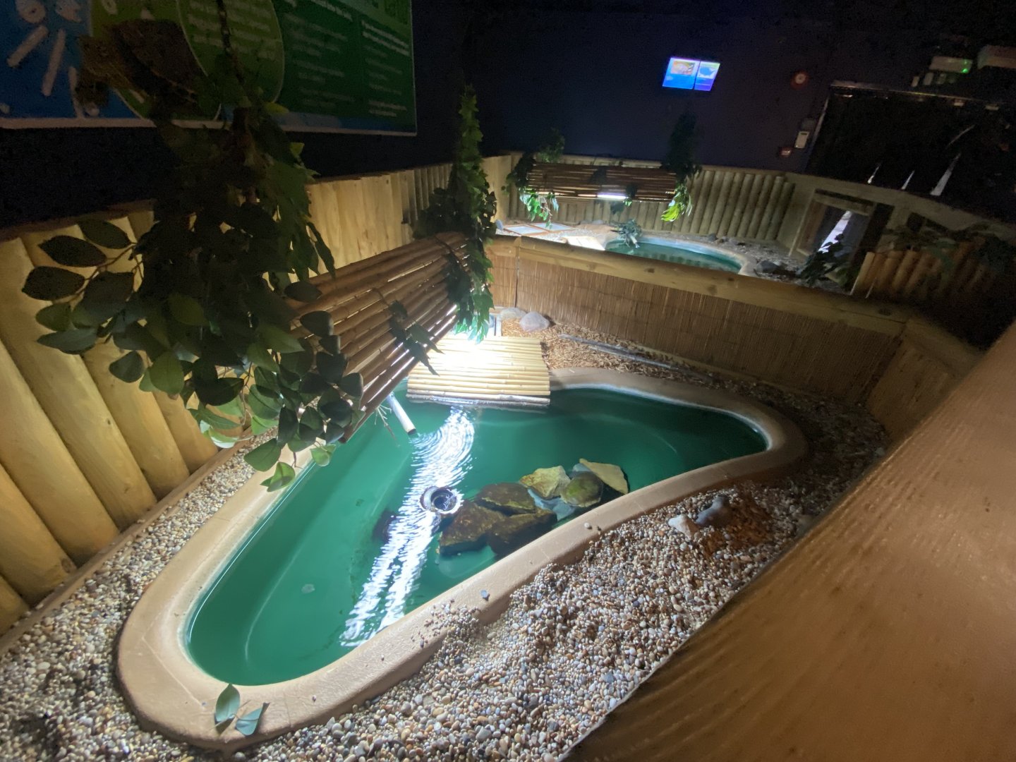 Turtle exhibit 080122