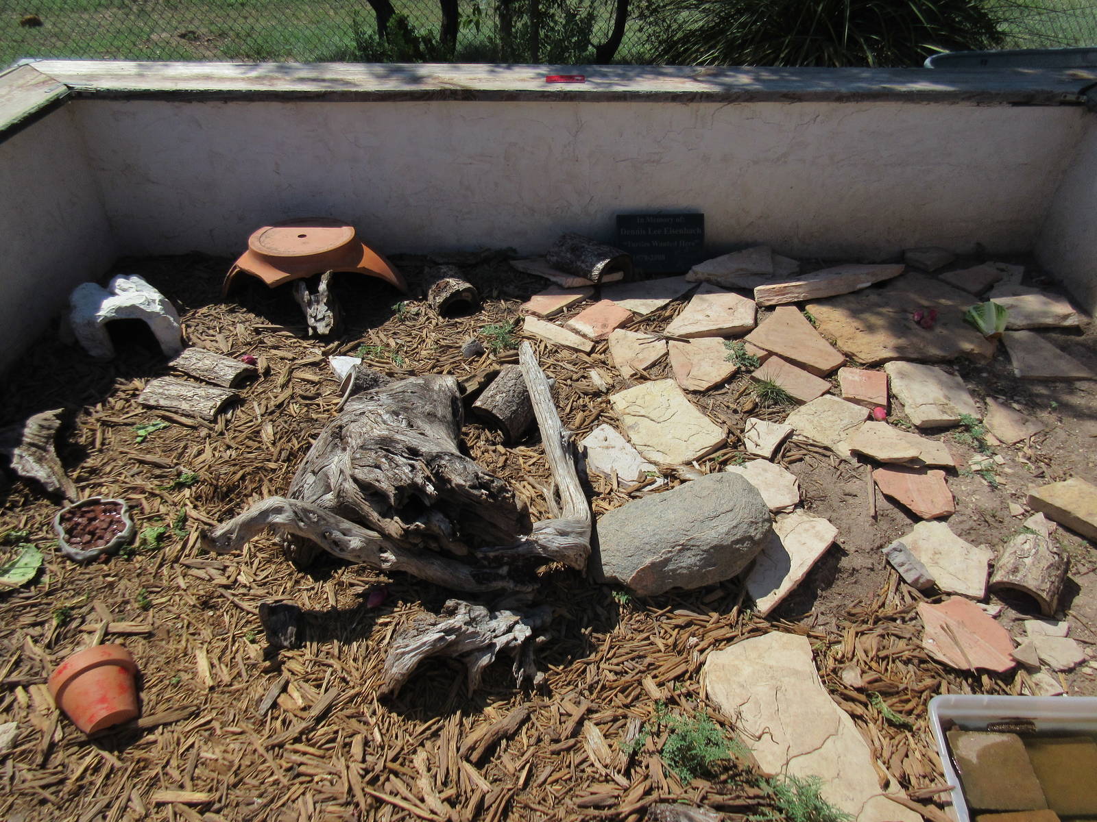 Turtle Exhibit (2 Species)