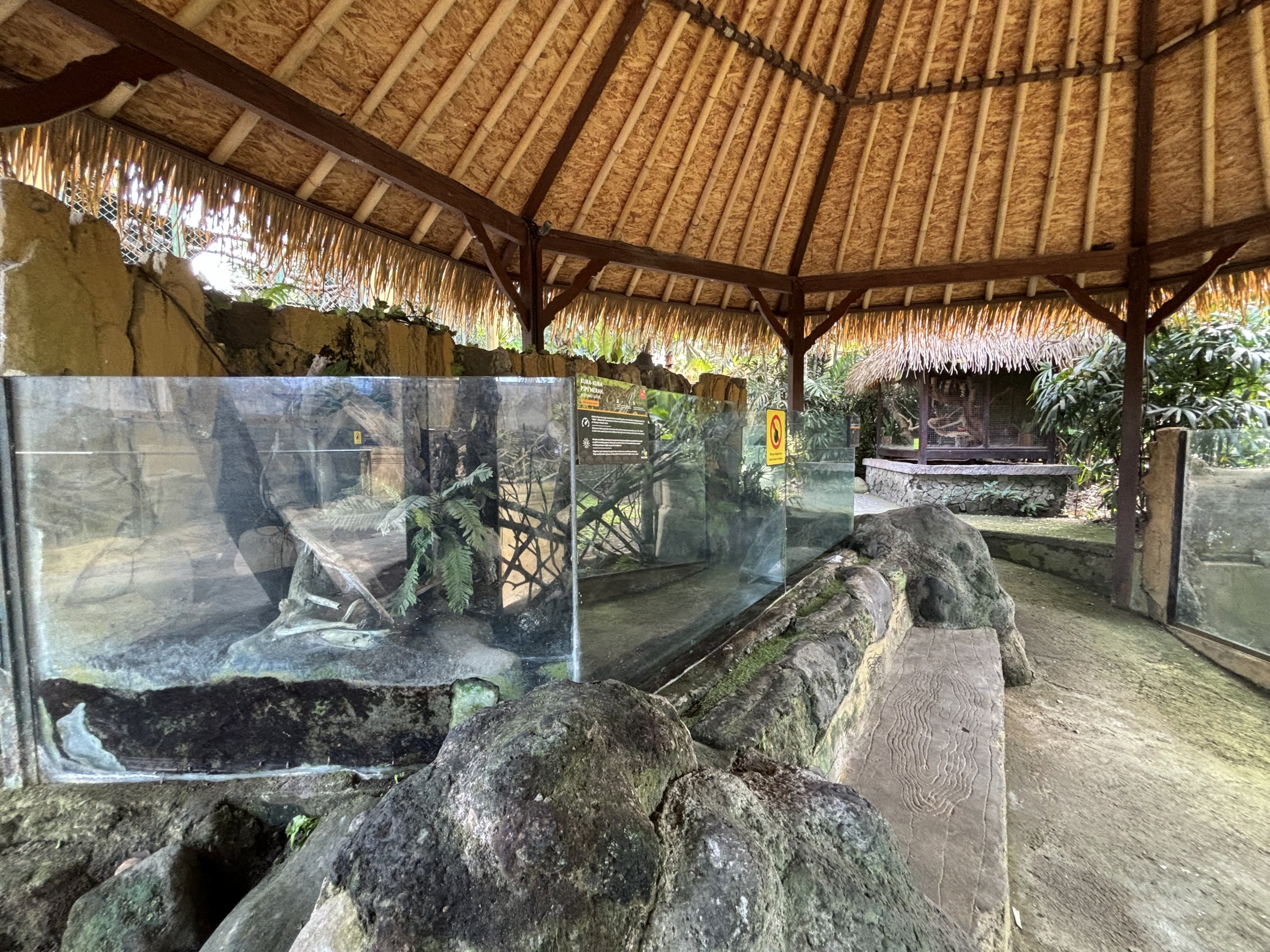 Turtle Exhibit (2 species)