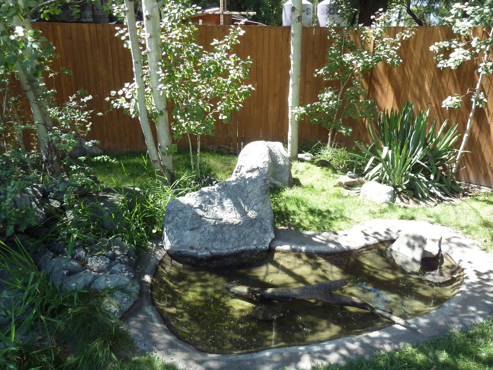 Turtle Exhibit (3 Species)