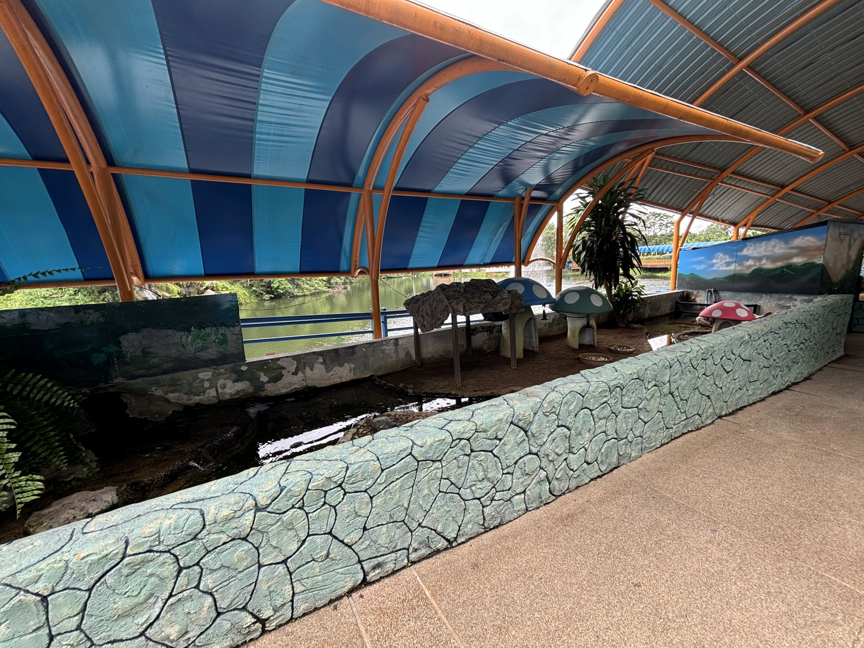 Turtle Exhibit (3 species)