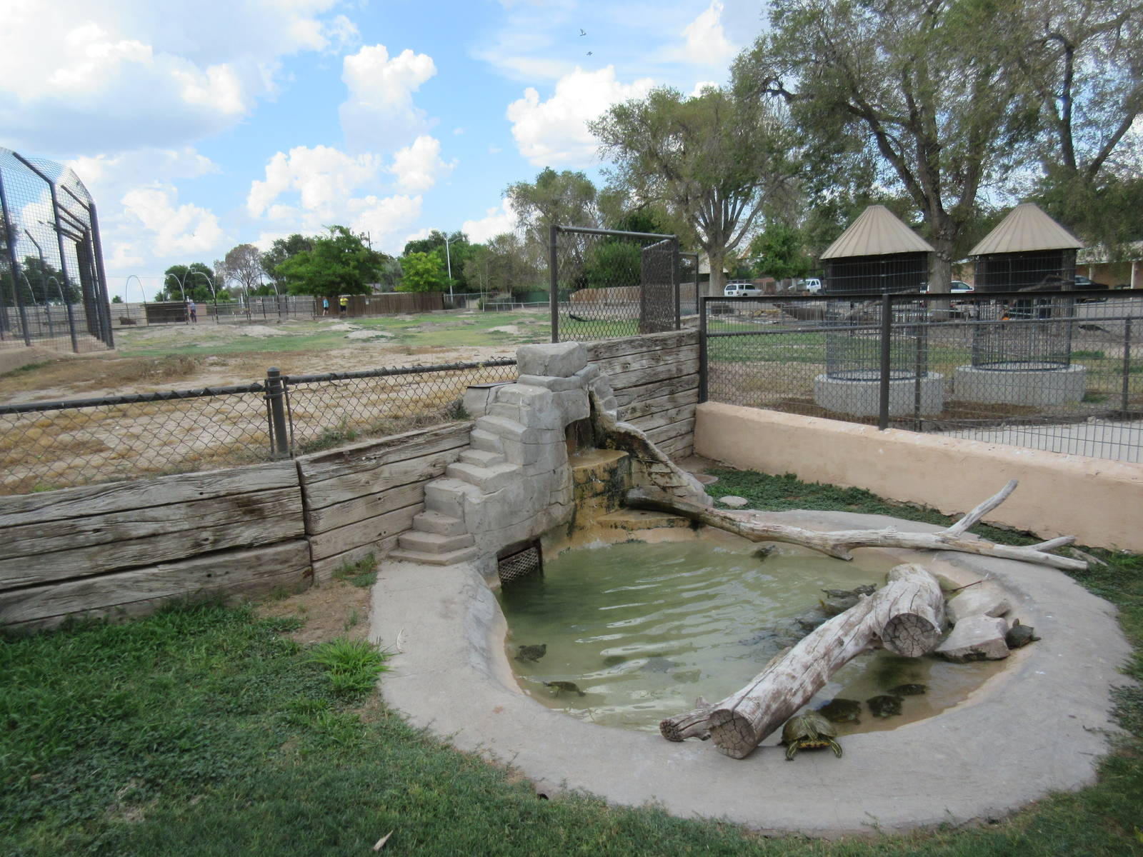 Turtle Exhibit (assorted local species)