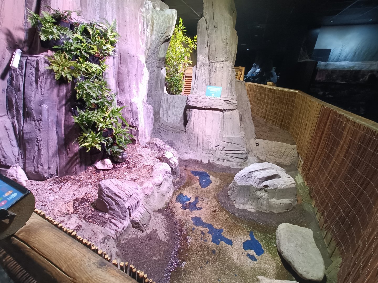 Turtle exhibit - Bioparc Acuario de Gijón