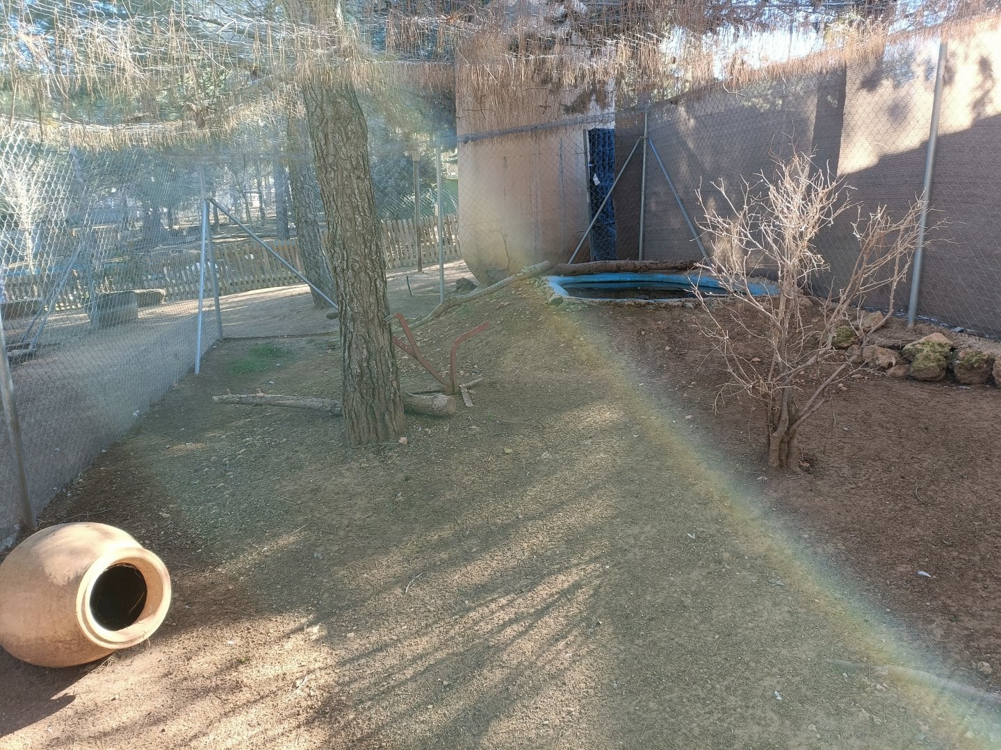 Turtle exhibit - Bioparque La Rocha