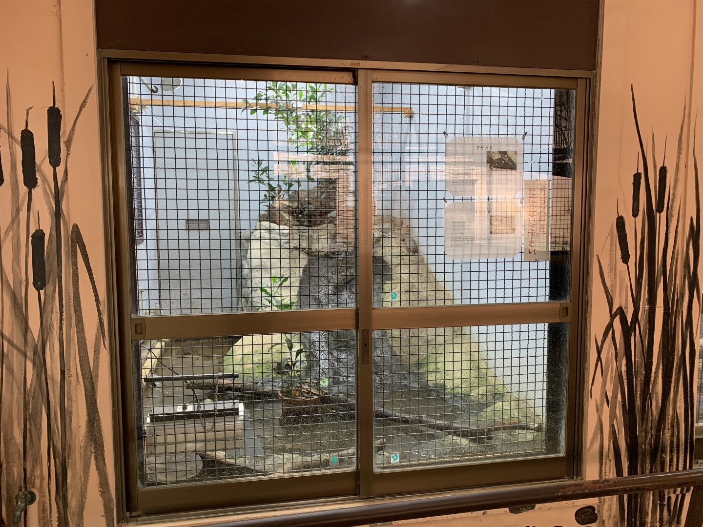 Turtle Exhibit (Himeji City Zoo)