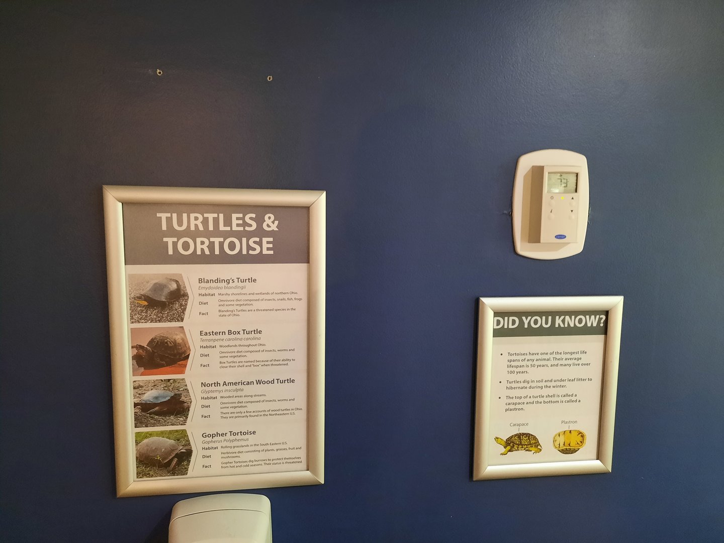 Turtle Exhibit Species List