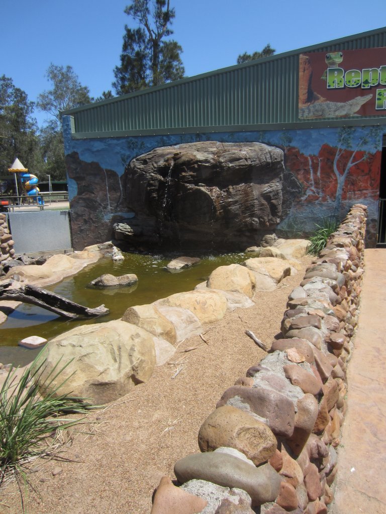 Turtle exhibit