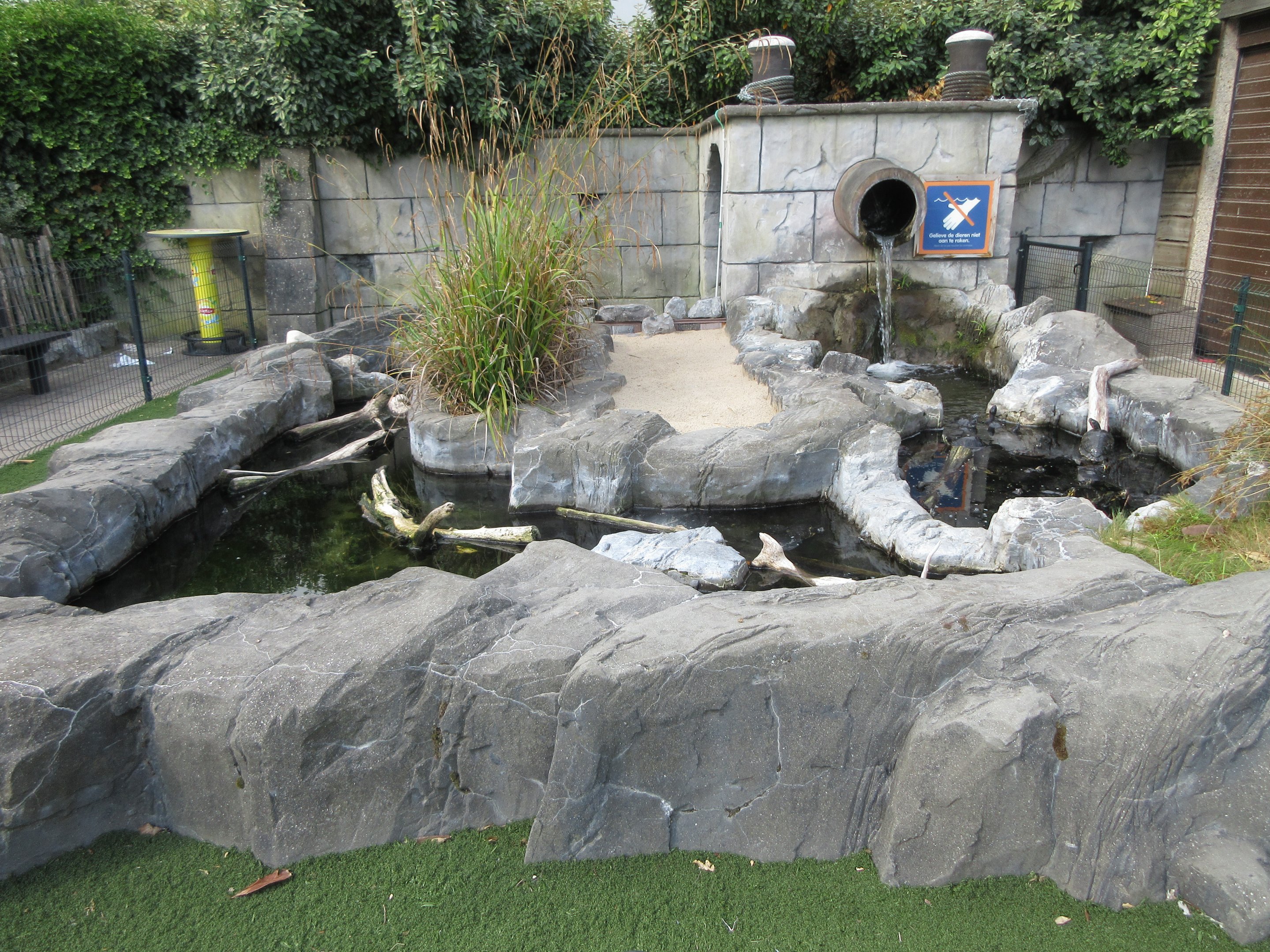 Turtle Exhibit