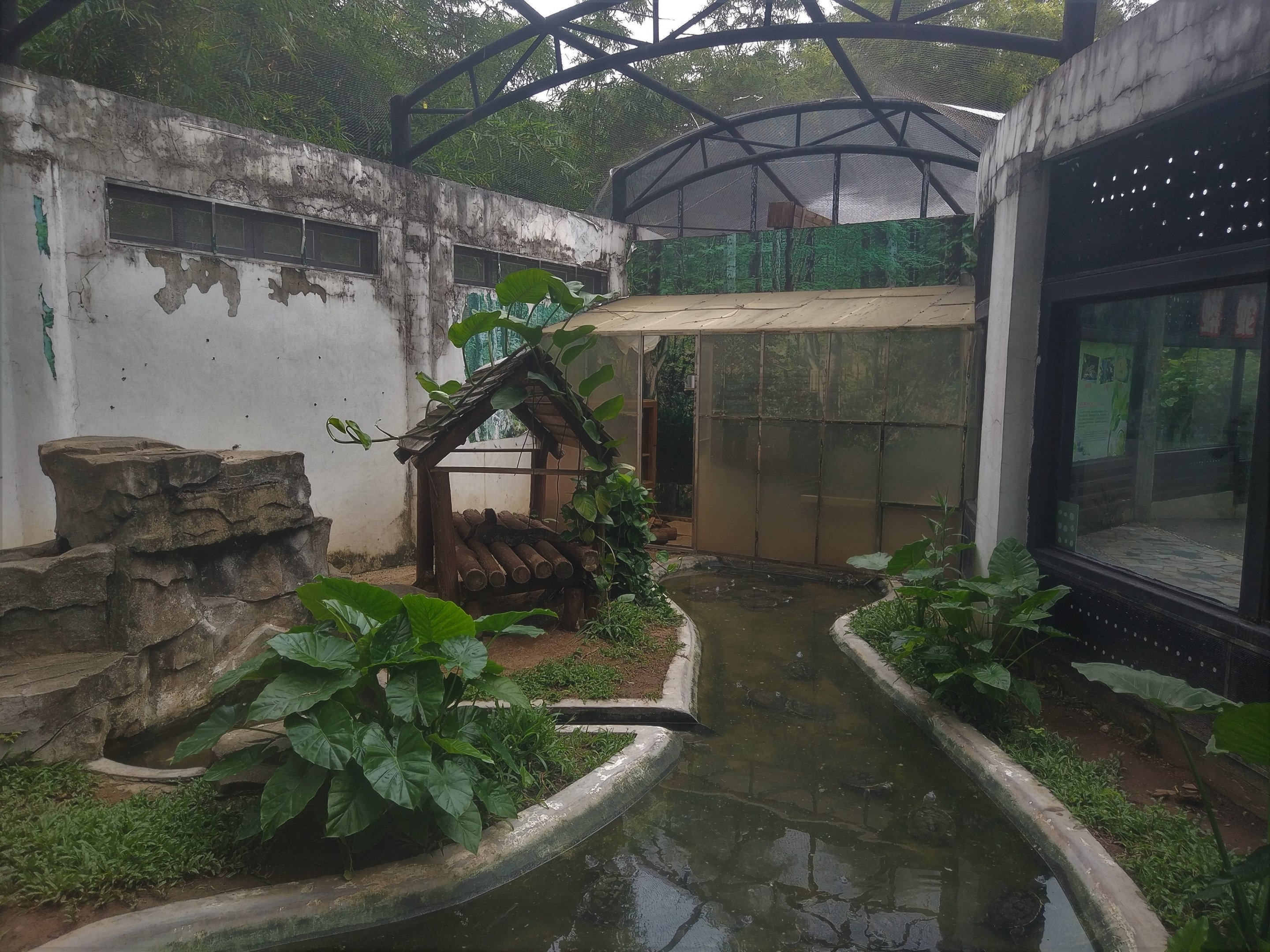 Turtle Exhibit