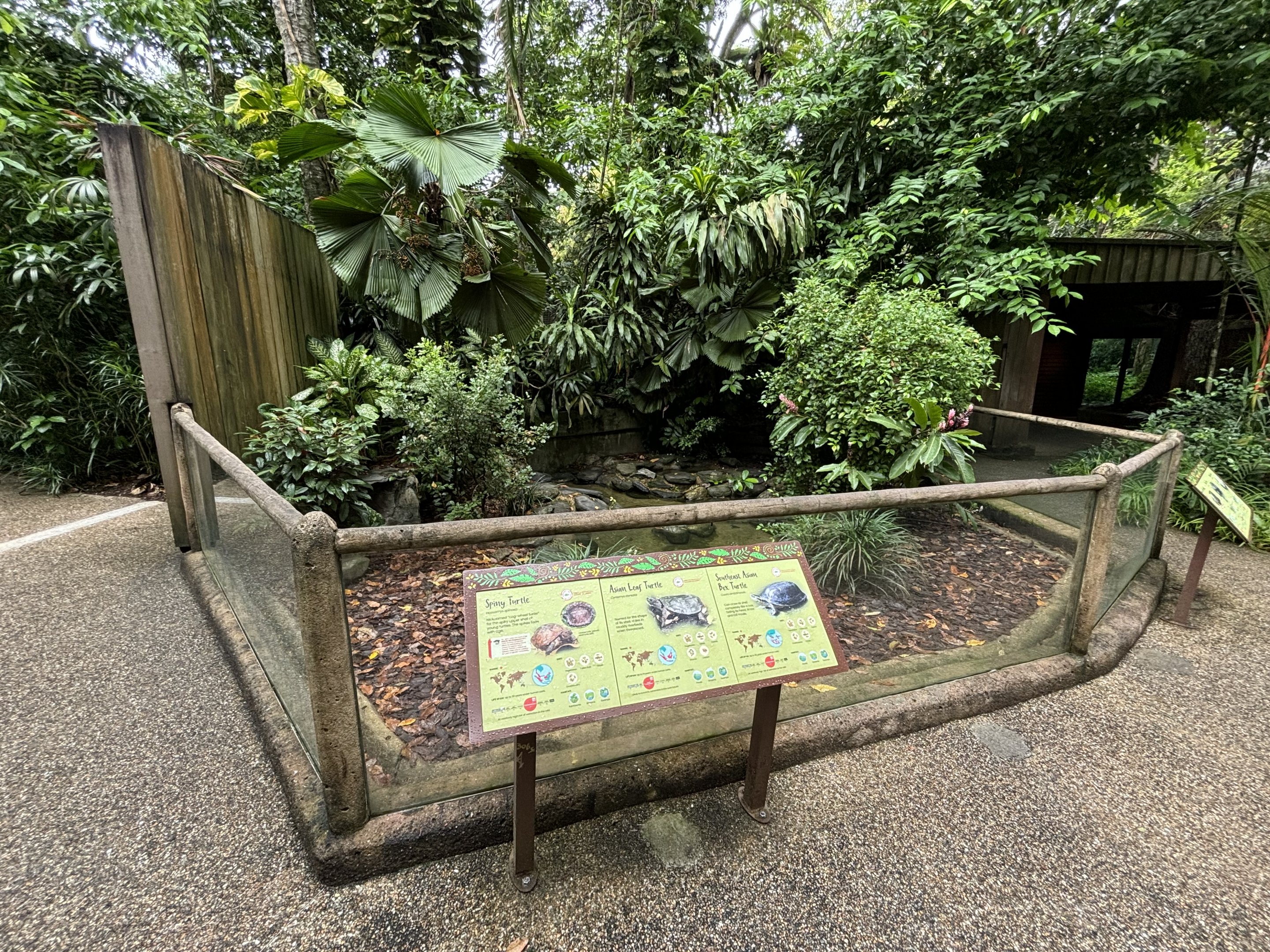Turtle Exhibit