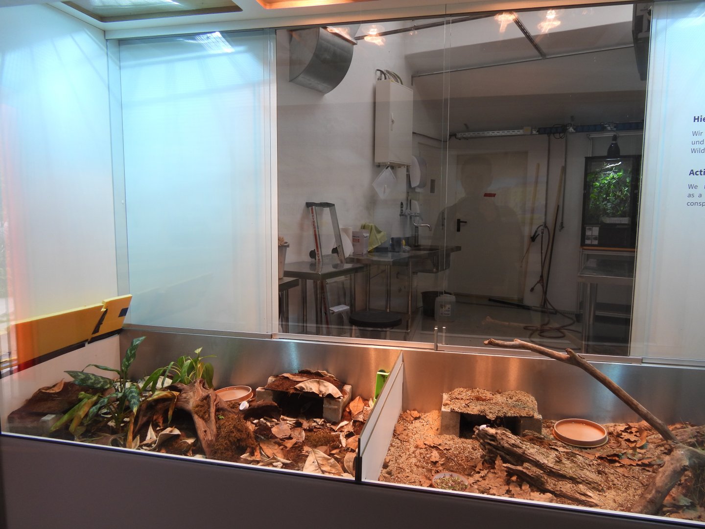 Turtle exhibits at the the Artenschutz house