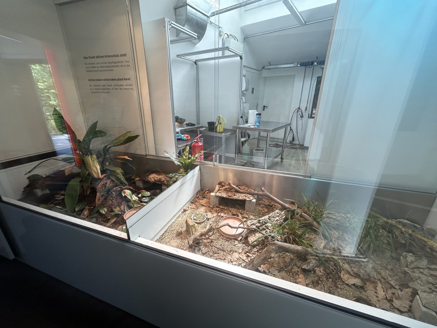 Turtle Exhibits - Conservation House