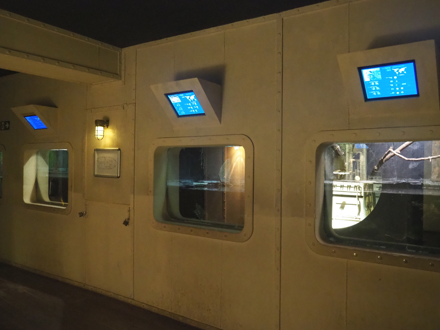 Turtle exhibits in Mersus Emergo, 2022-09-14