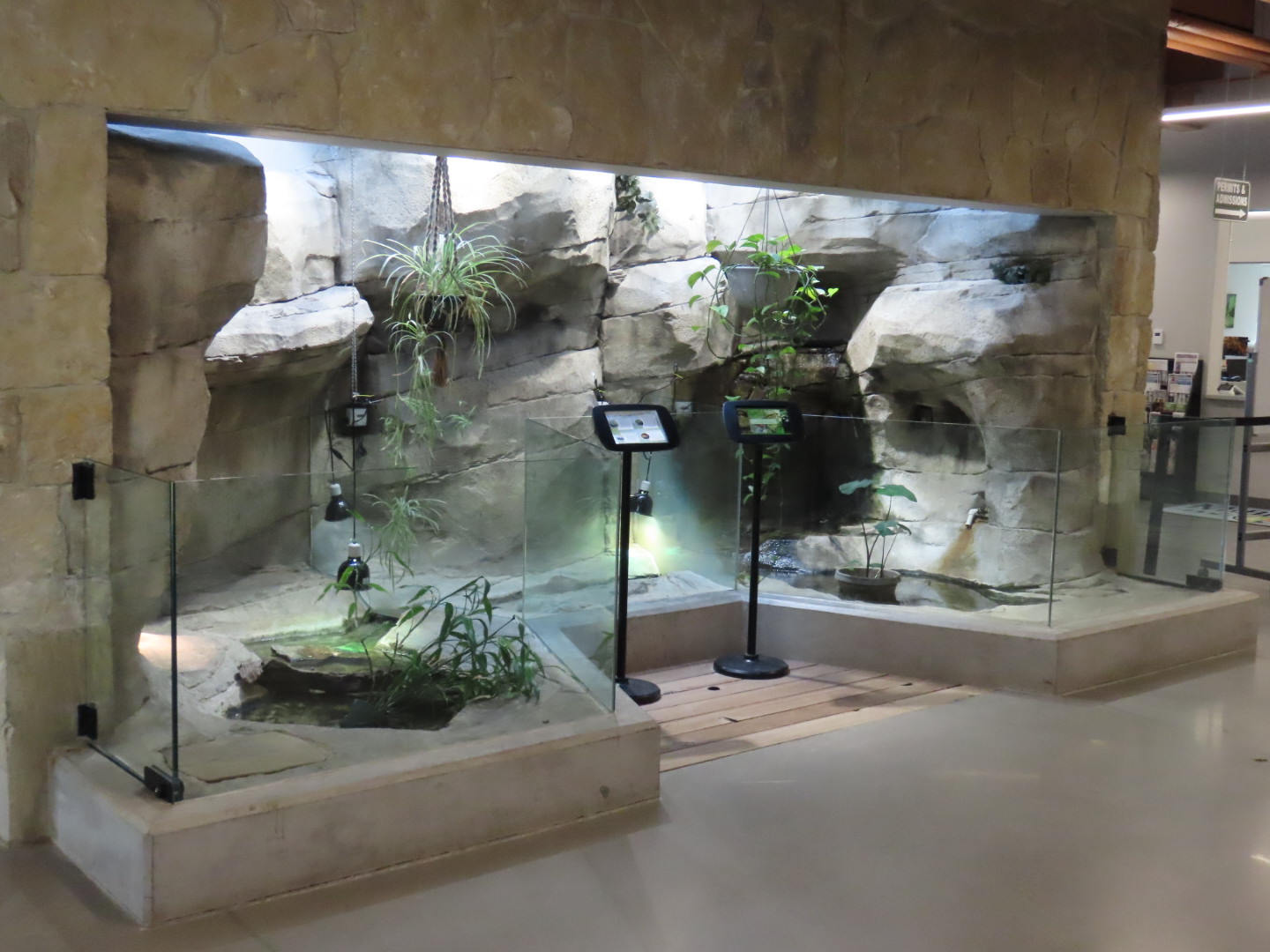 Turtle Exhibits