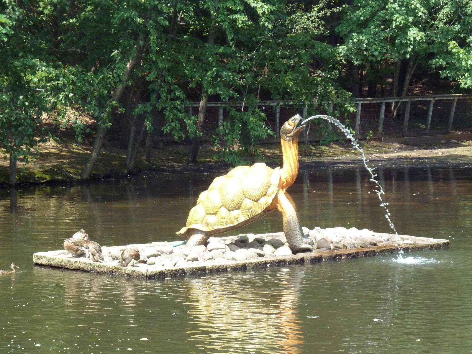 Turtle Fountain
