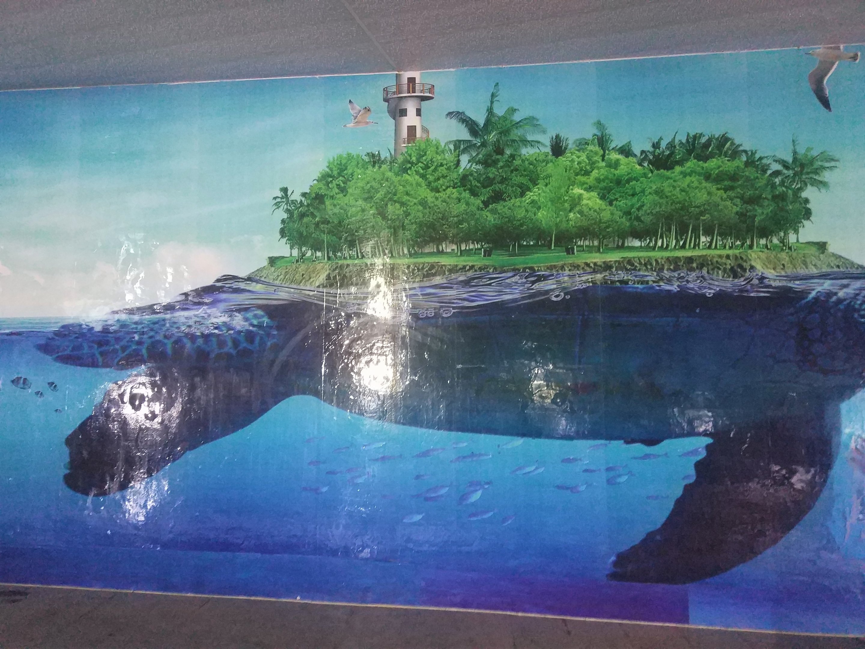 Turtle Island Signage