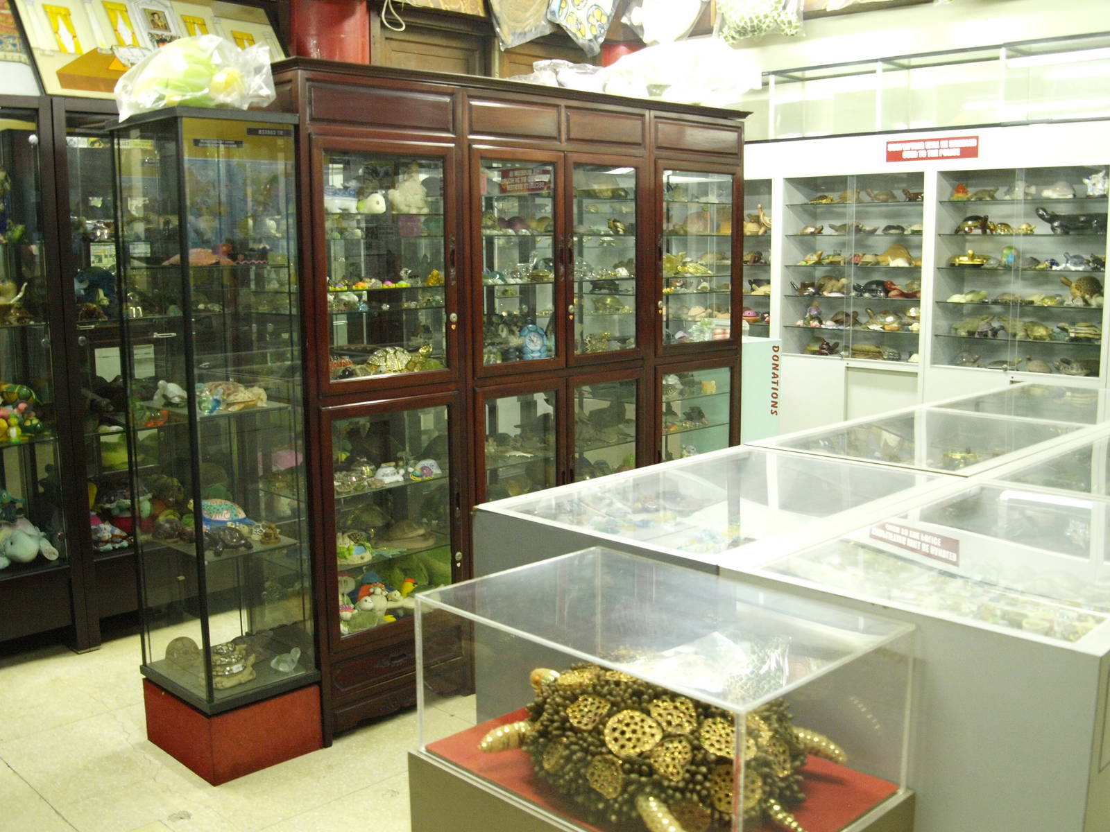 Turtle memorabilia (display only)