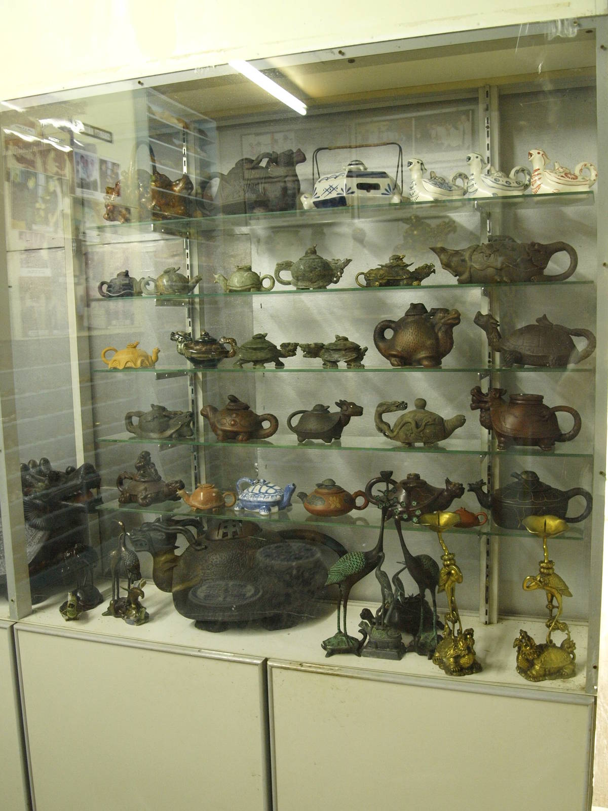 Turtle memorabilia (display only)