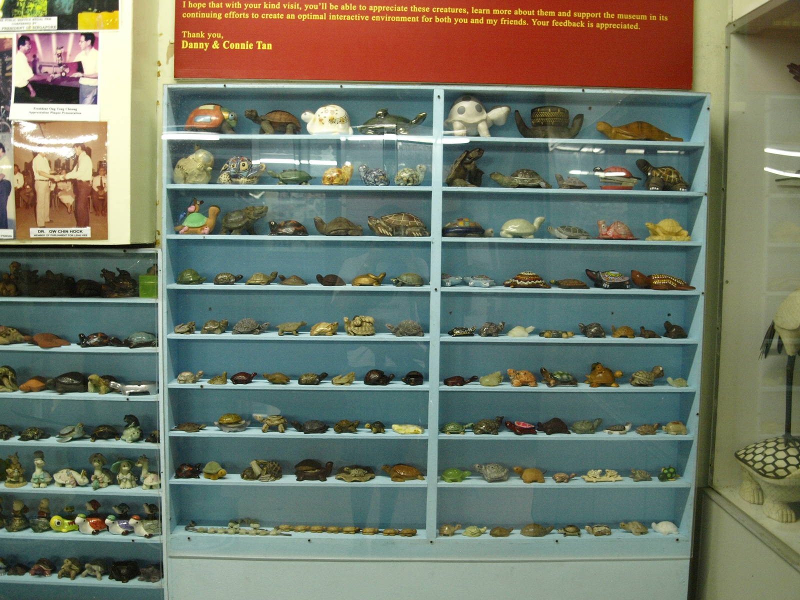 Turtle memorabilia (display only)