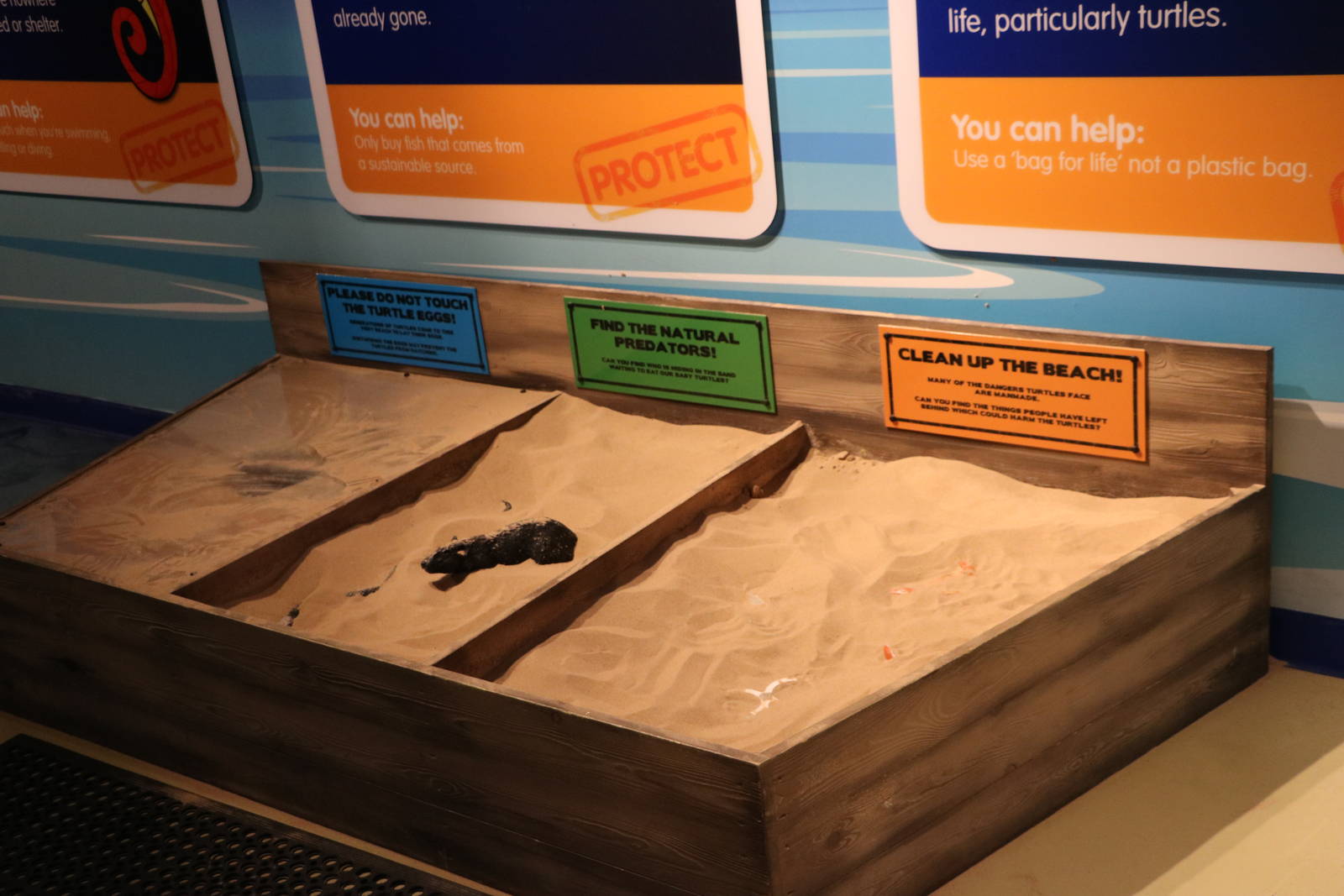 Turtle nest conservation sandboxes, September 2015