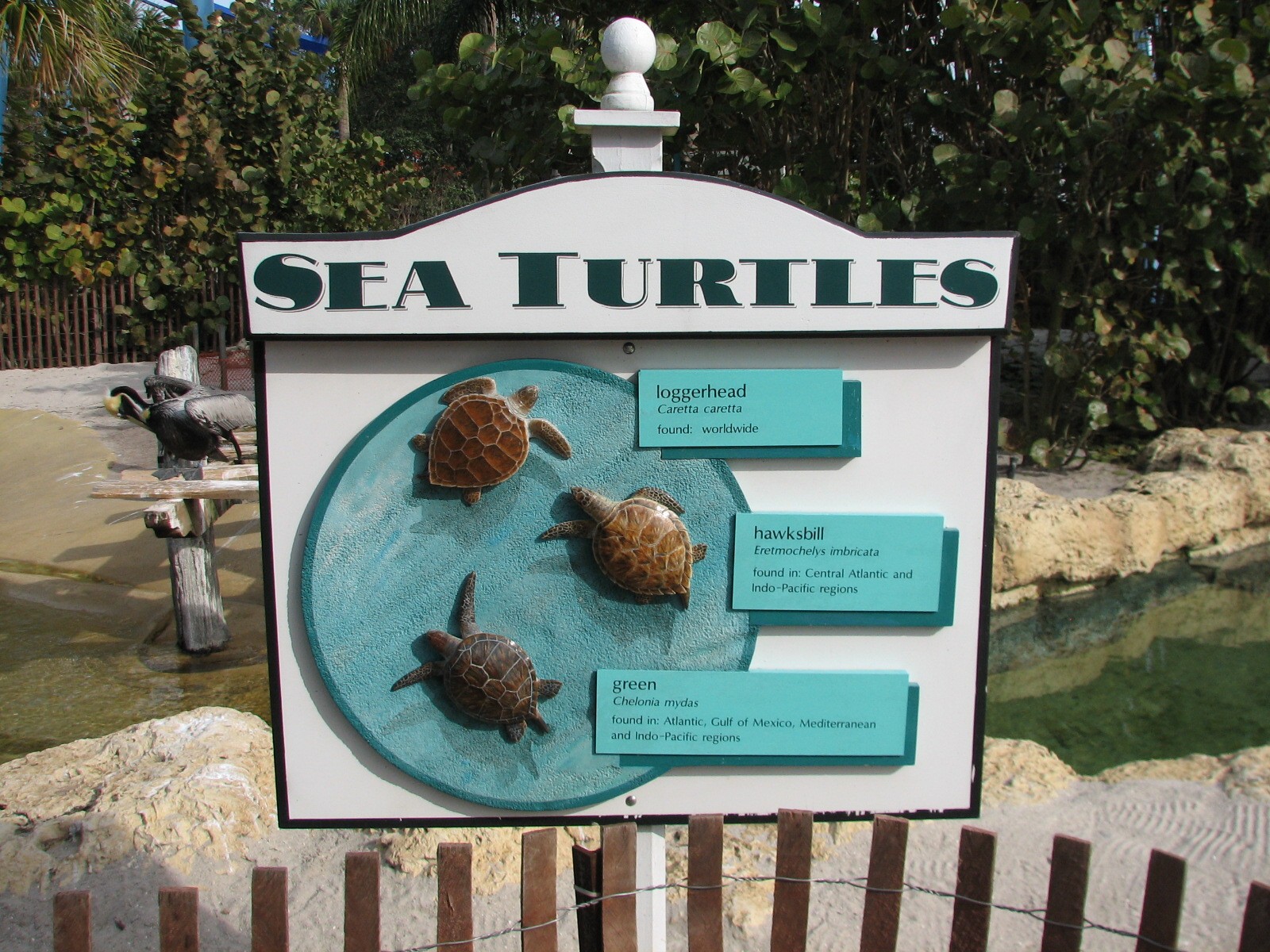 Turtle Point - Sign