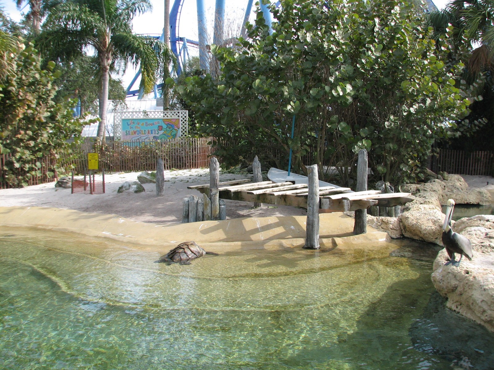 Turtle Point - Turtle Exhibit