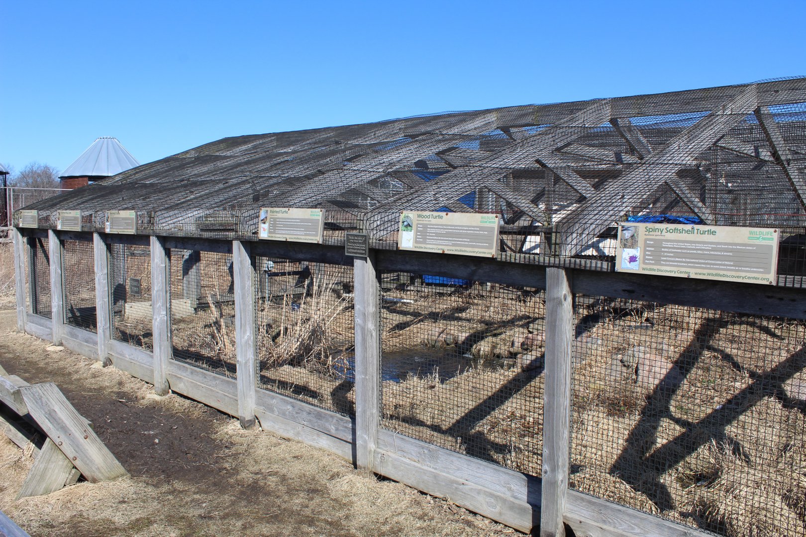 Turtle Pond (6 Species)