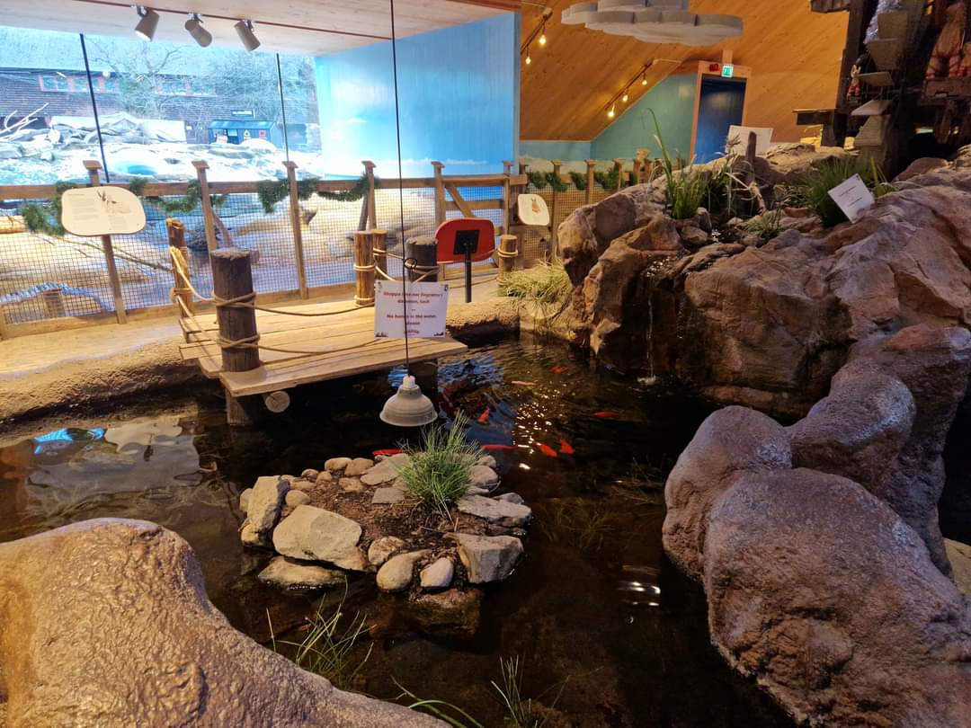 Turtle pond, Children zoo