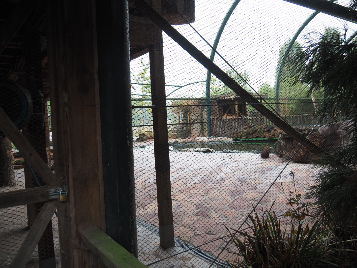 Turtle pond in the Australian aviary, 2022-09-15