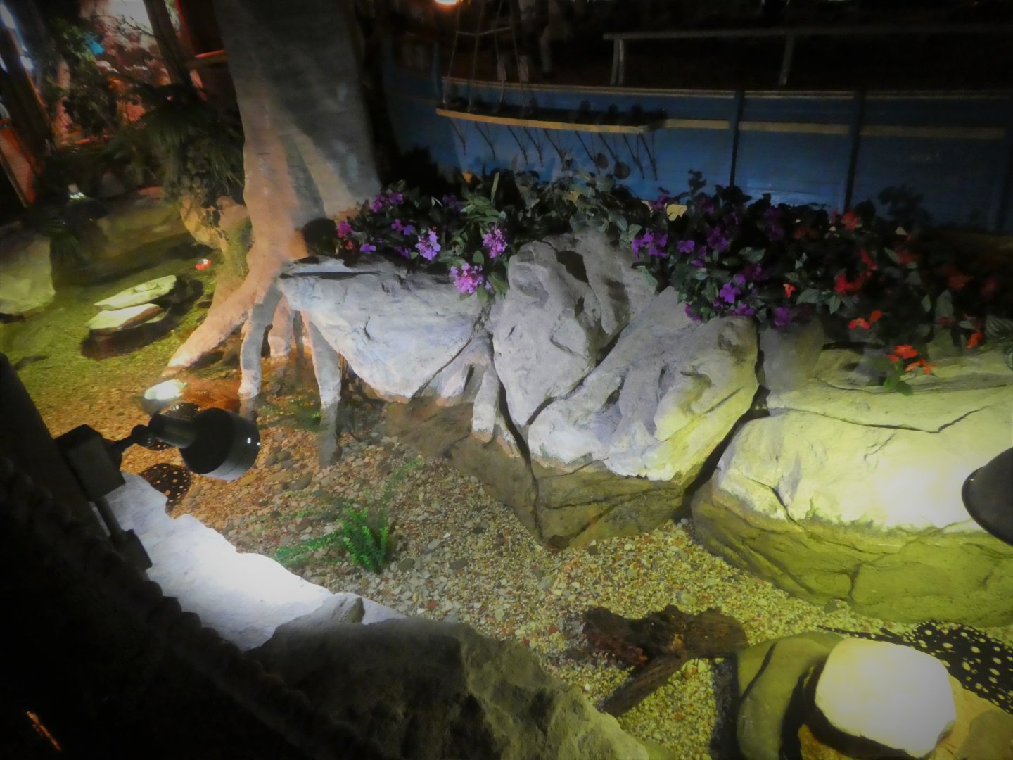 Turtle Pond - Main Exhibit