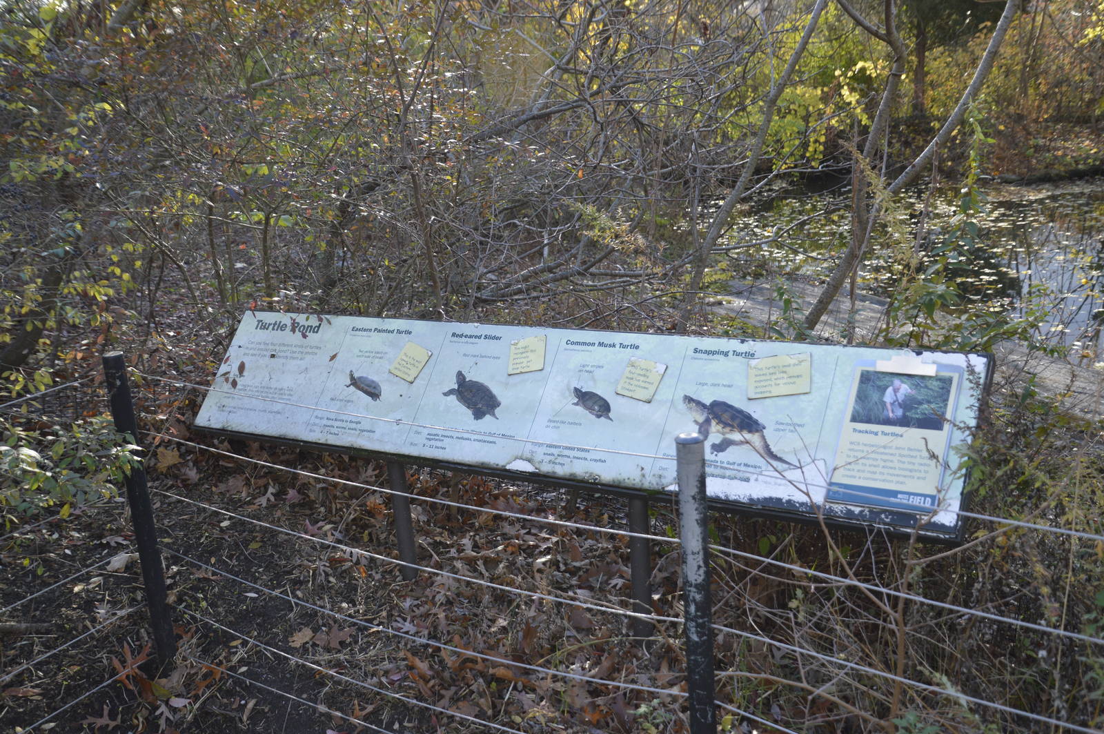 Turtle Pond sign 031215