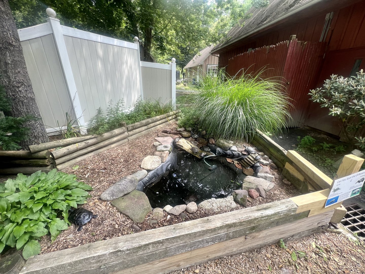 Turtle Pond