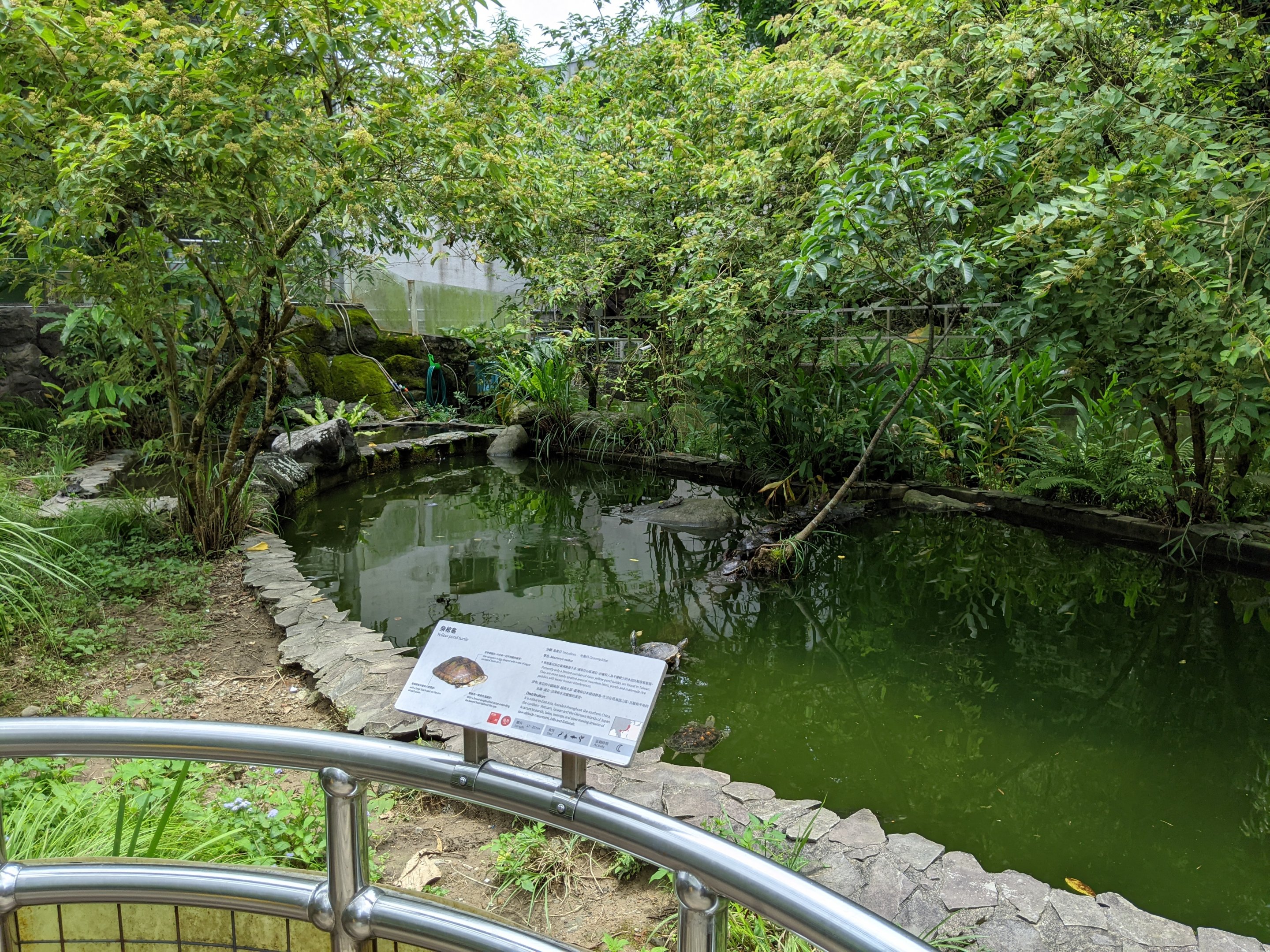 Turtle pool outside the Reptile House