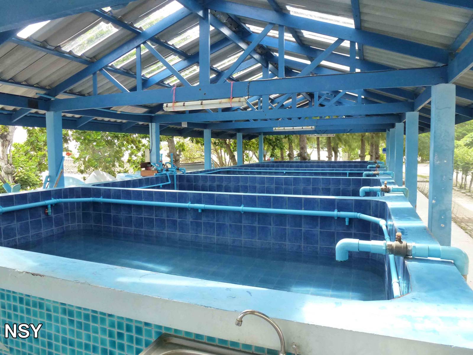 Turtle pools, June 2013.