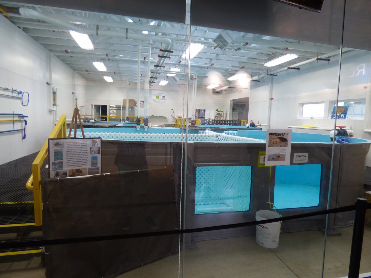 Turtle Rehabiltation Building - Sept. 2018