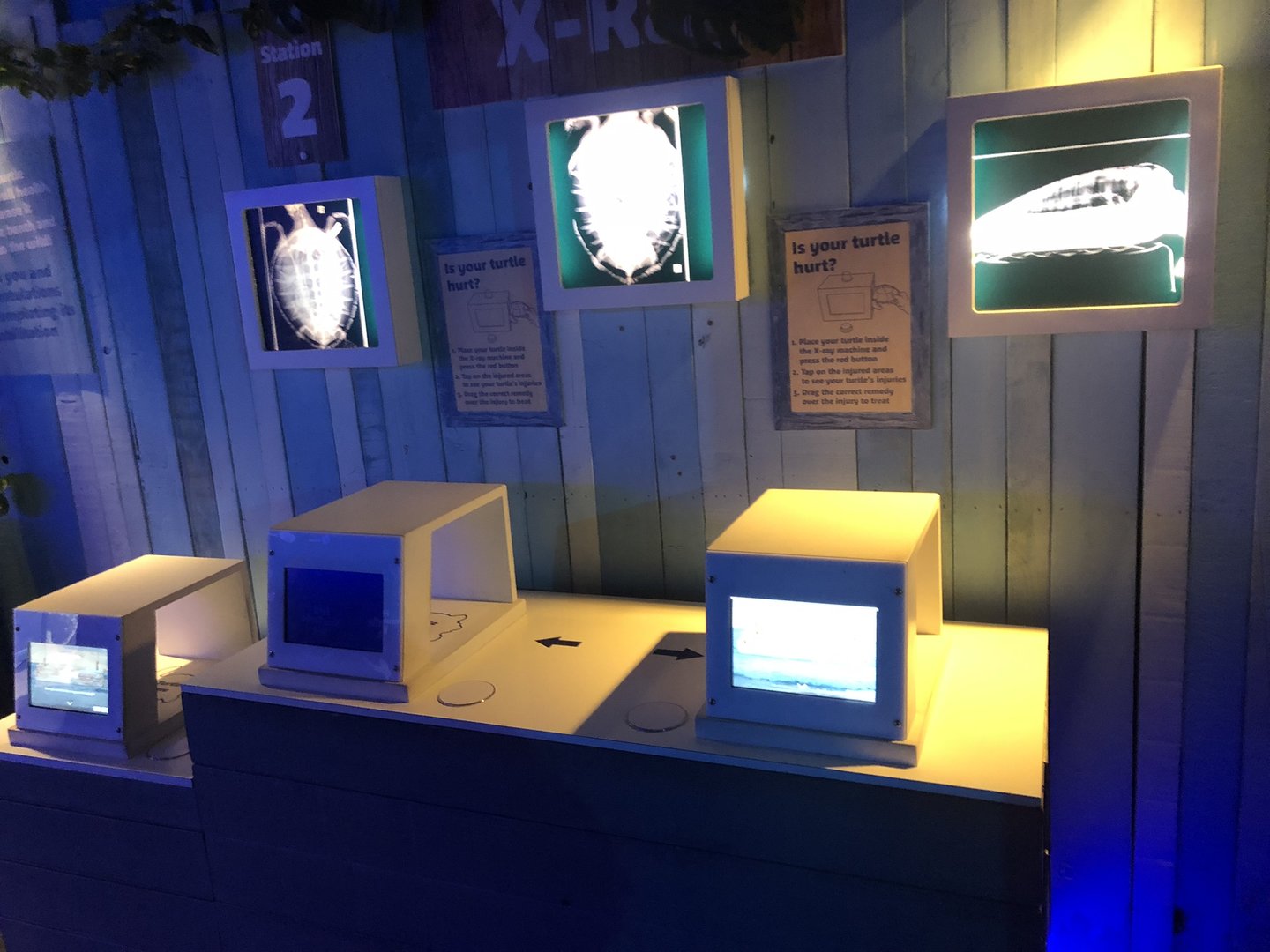 Turtle Rescue Interactive Exhibits at SEA LIFE Scarborough (September 2022)