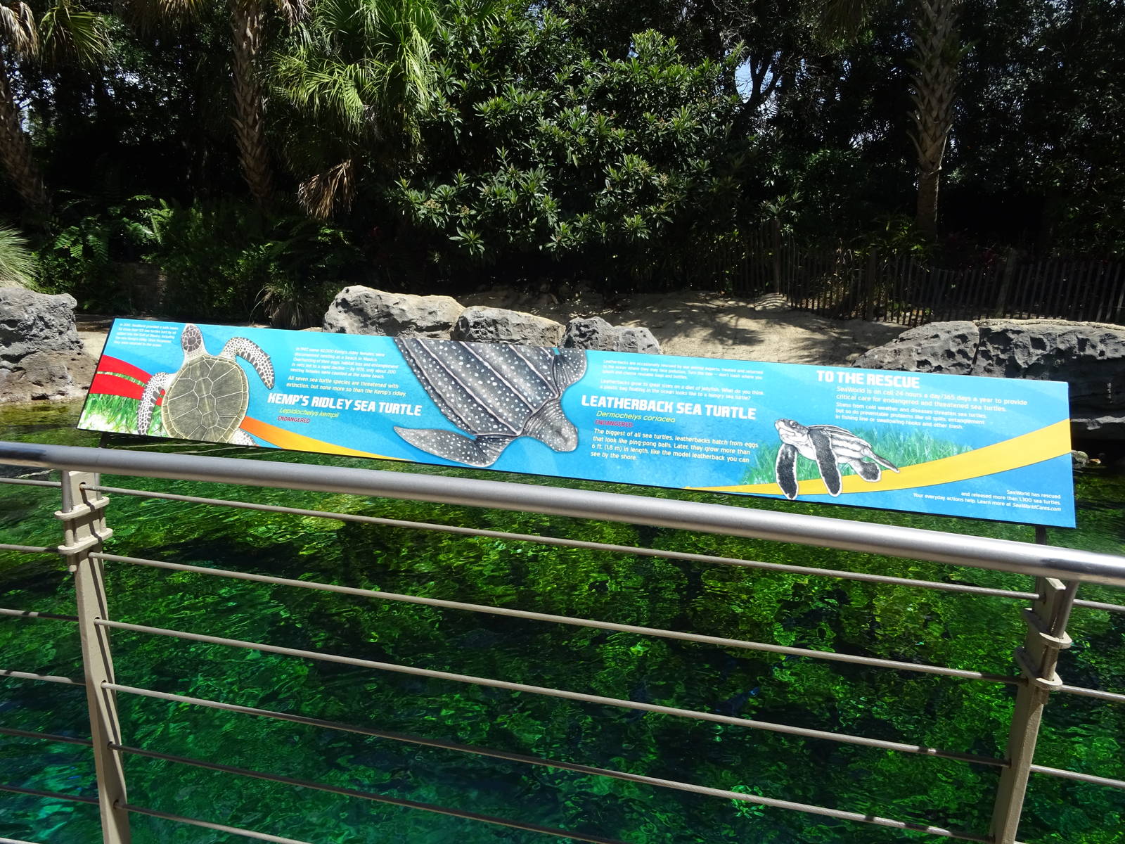 Turtle Sign at SeaWorld Orlando