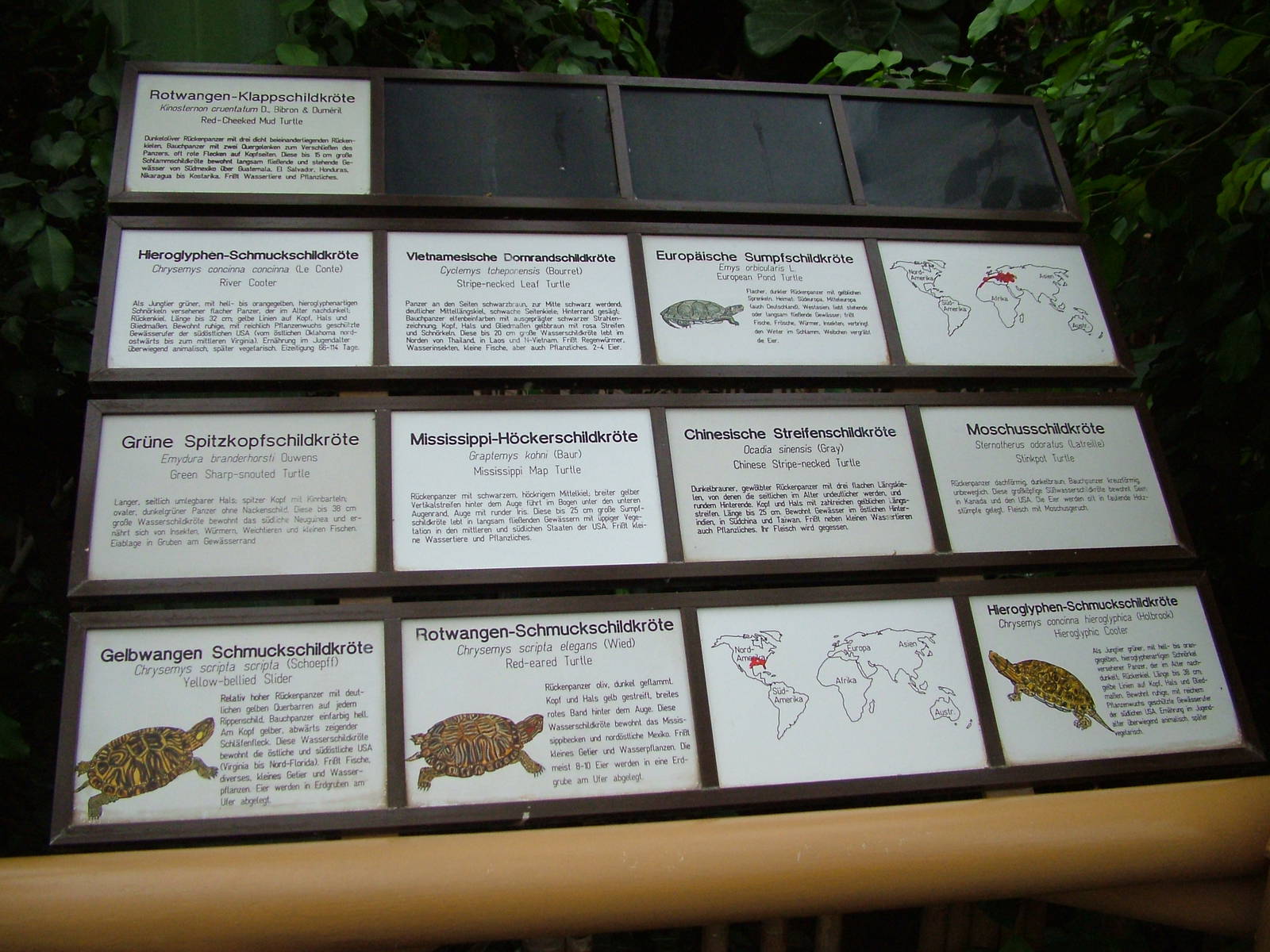 Turtle Signage at Tierpark Berlin, 30/08/11