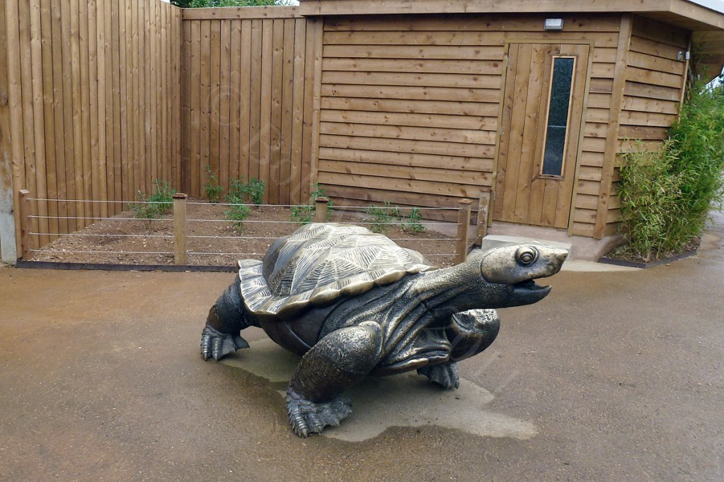 Turtle Statue