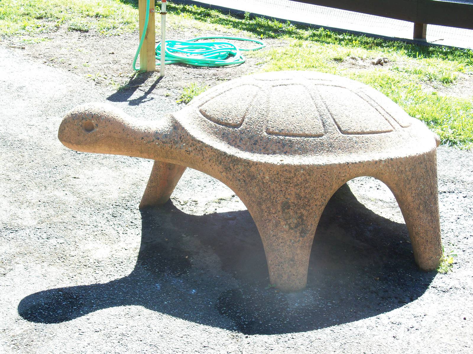 Turtle Statue