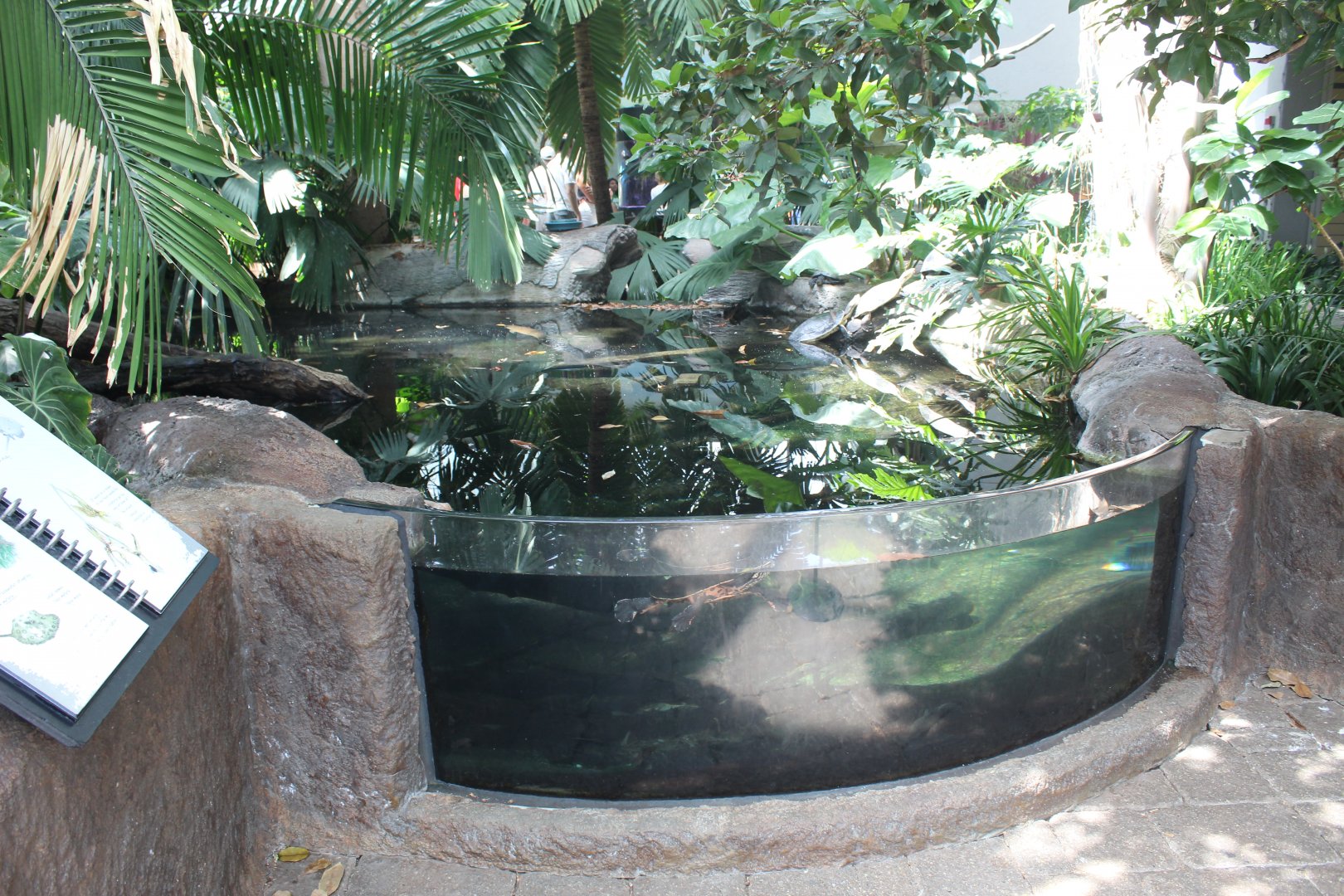 Turtle Tank - Tropical Discovery