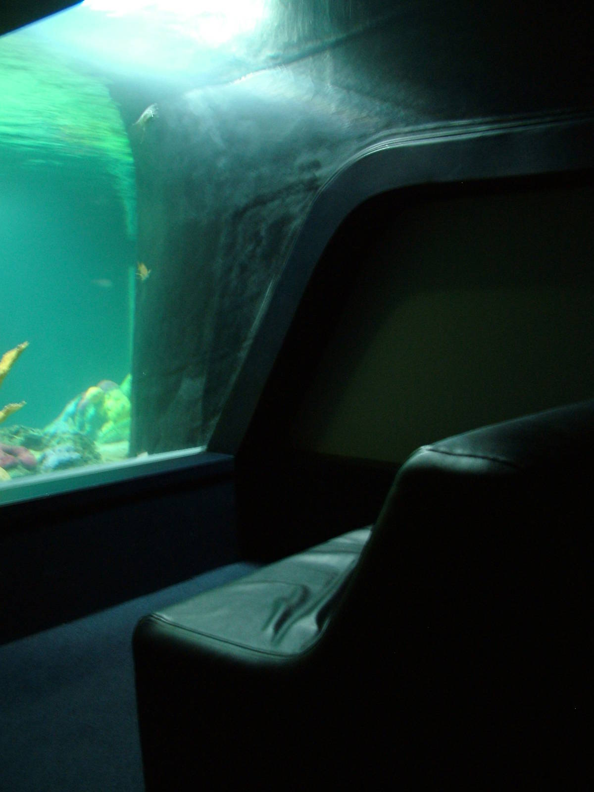 Turtle Tank Viewing Area at Lisbon Oceanarium, 25/05/11