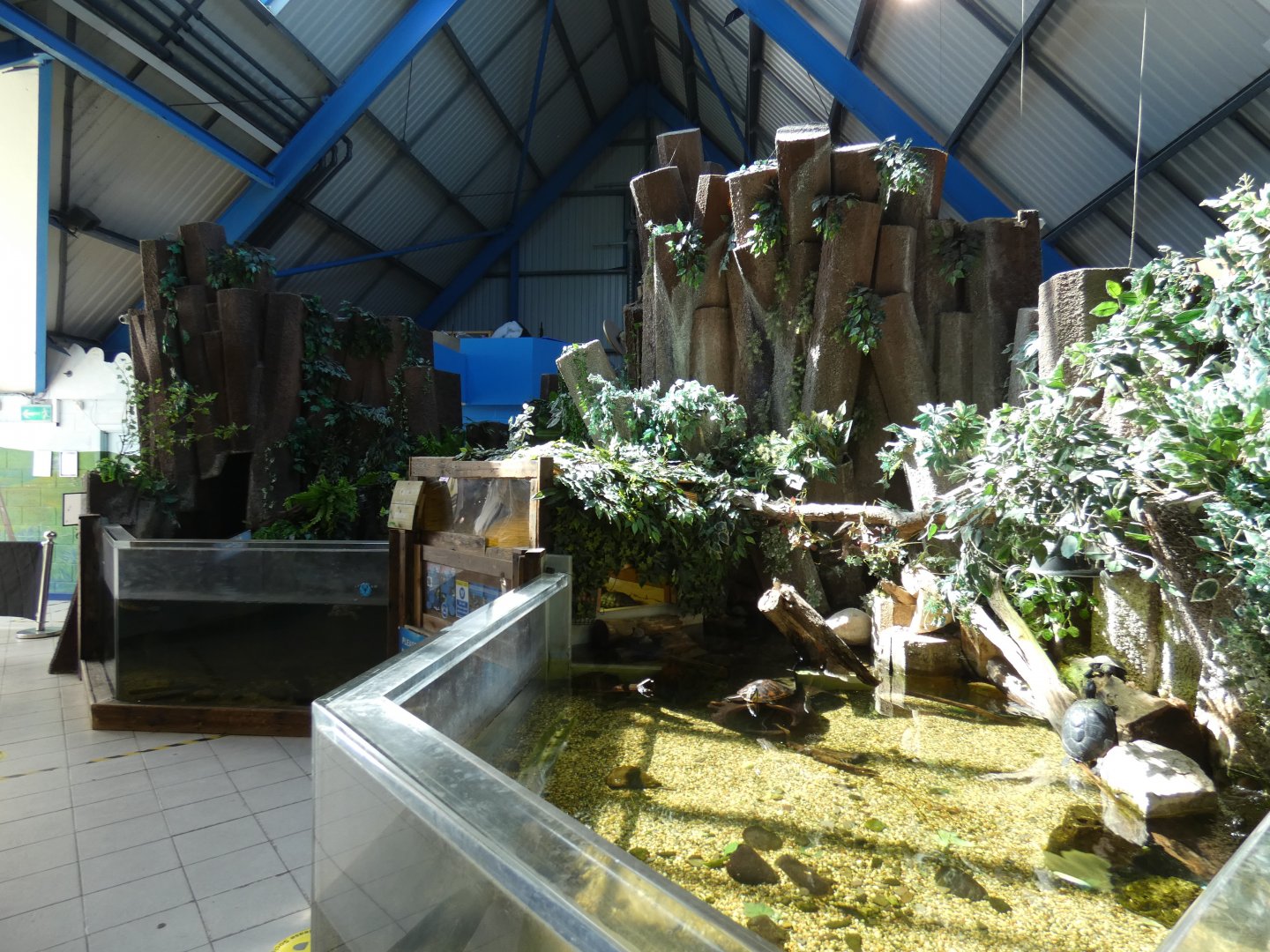 Turtle/Terrapin enclosure