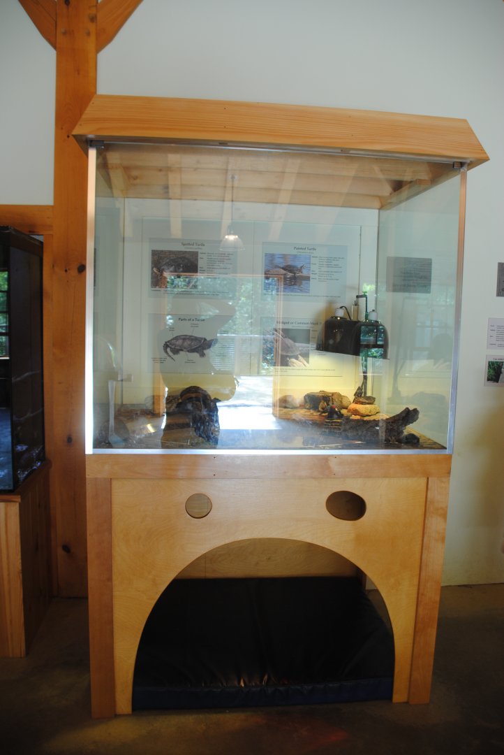 Turtle terrarium (Water Matters pavilion)