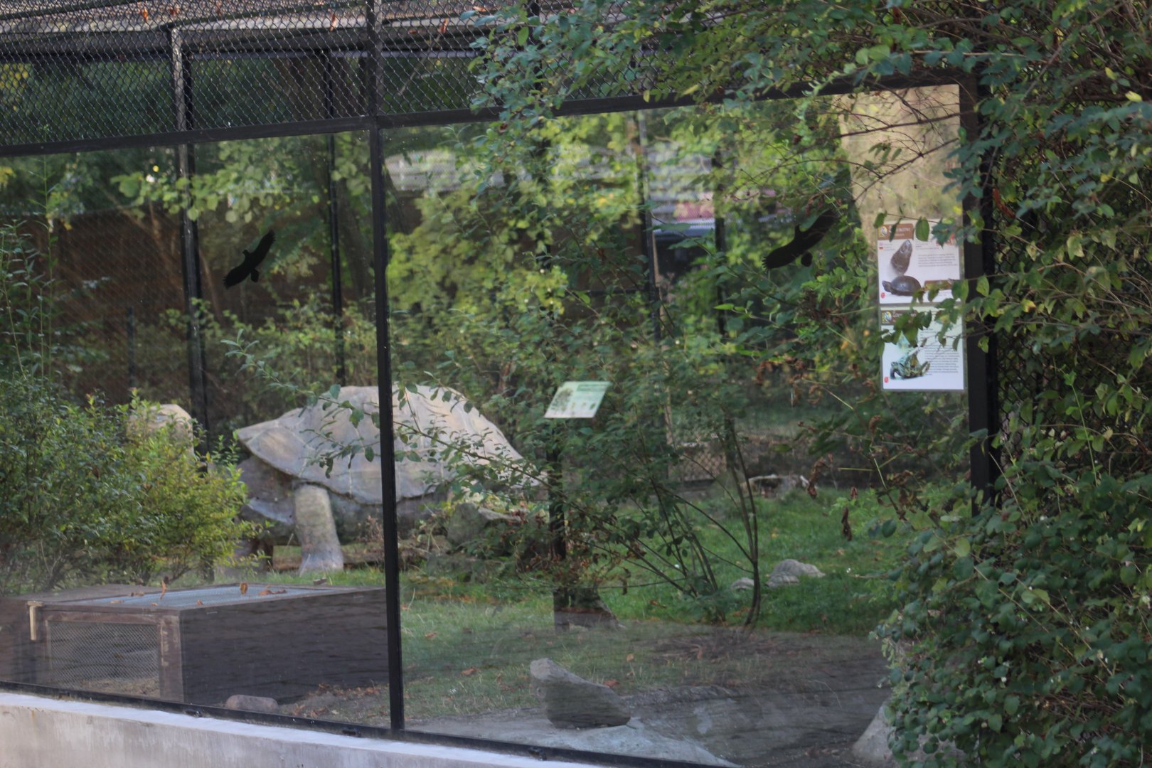 Turtle/Tortoise Enclosure