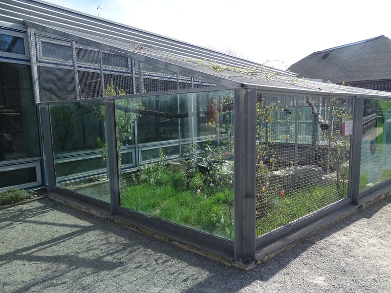 Turtle + tortoise enclosure